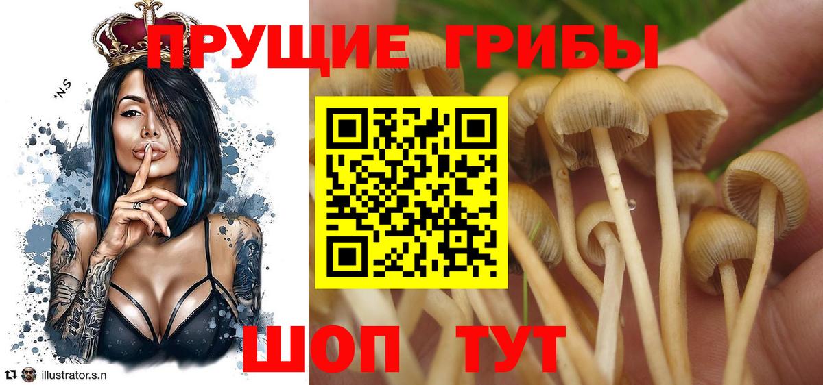 Галлюциногенные грибы ЛСД  Вход с VPN  Керчь  Псилоцибиновые грибы Magic Shrooms 