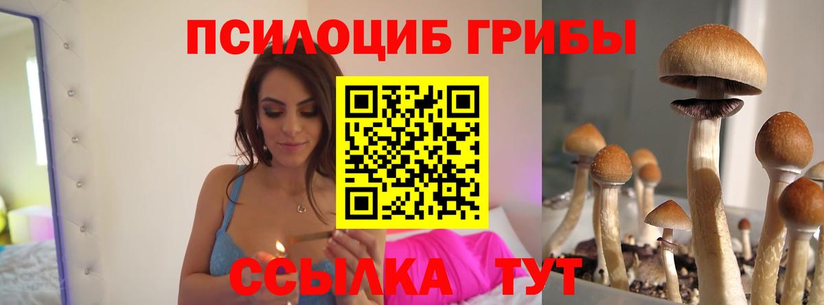 Галлюциногенные грибы Psilocybe Керчь
